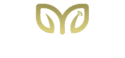 Myoor Eye Tech